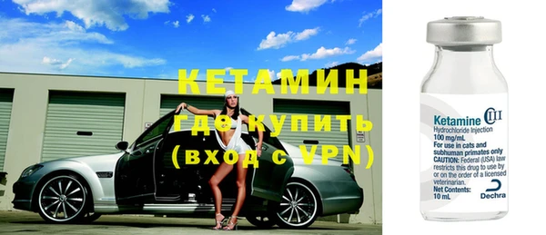 стаф Инта