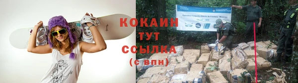 стаф Инта