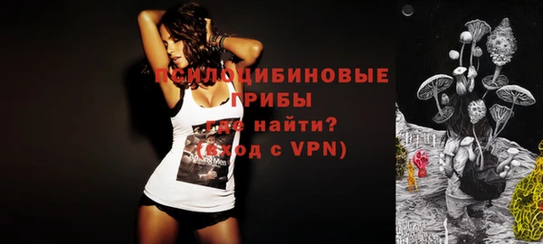 прущие крисы Инсар