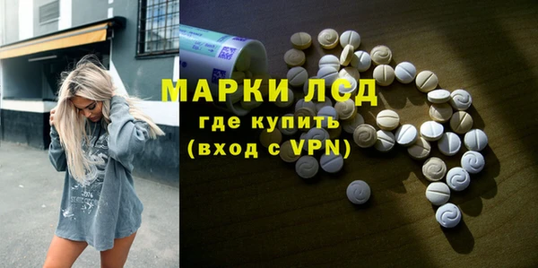 стаф Инта