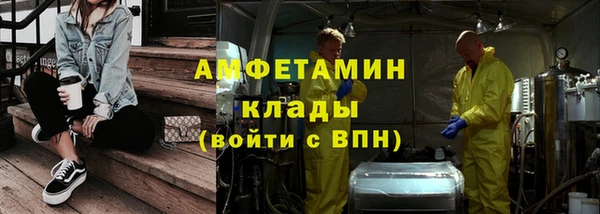 стаф Инта