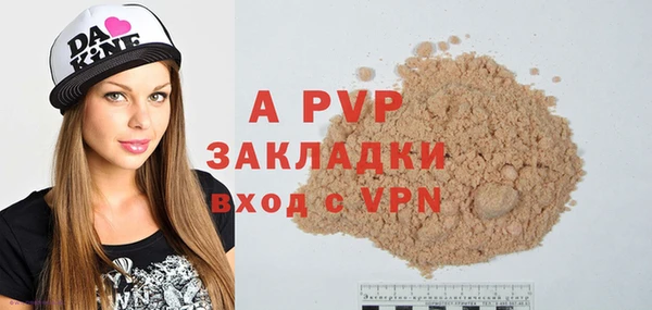 стаф Инта